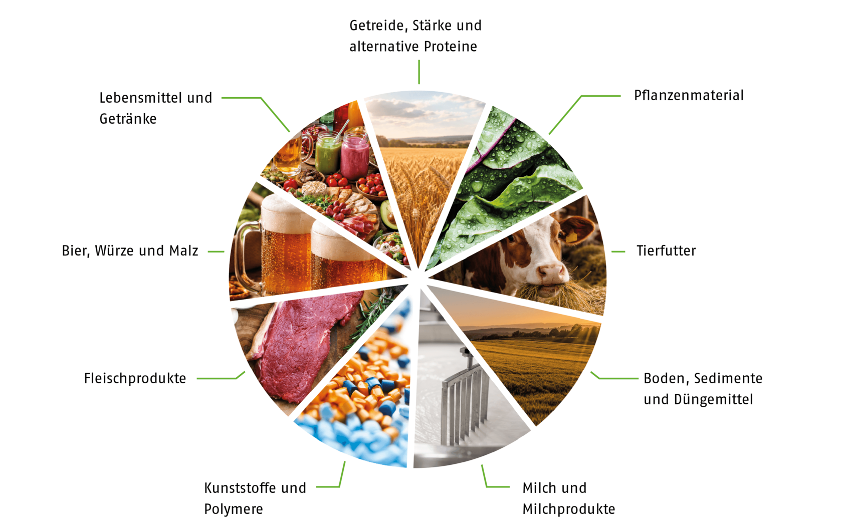 Typische Probentypen, die mit den Analysatoren der exceed PLUS-Serie analysiert werden können