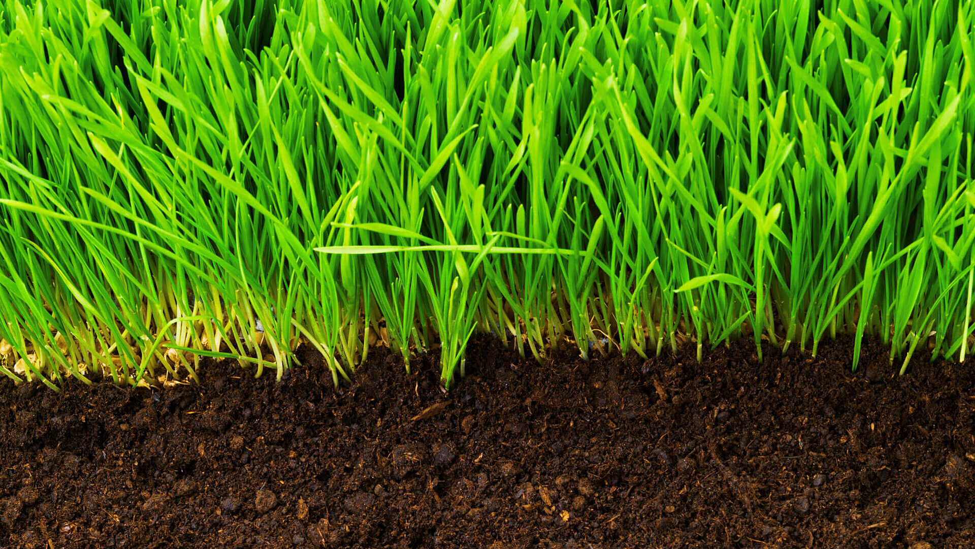 Soil profile