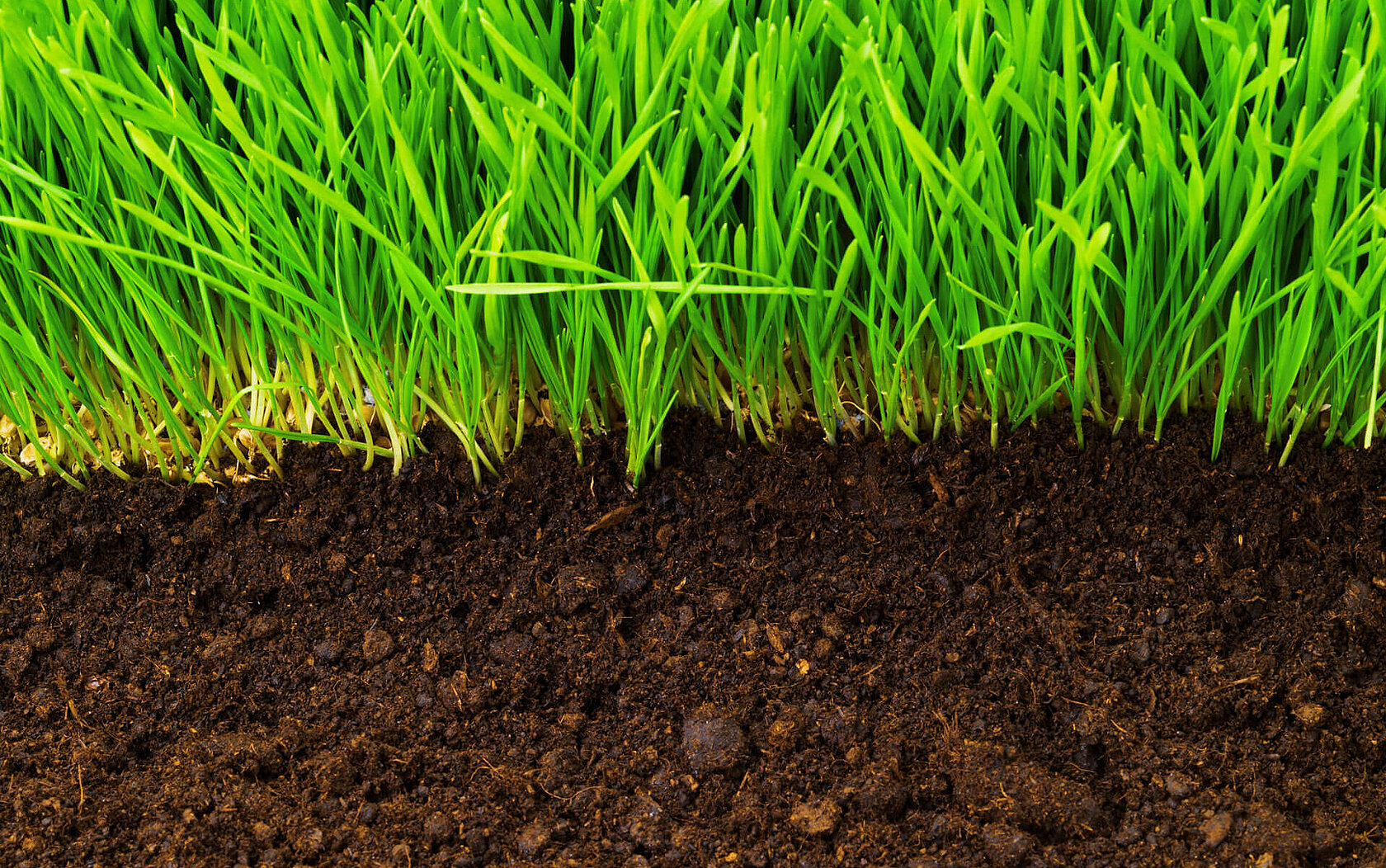 Soil profile