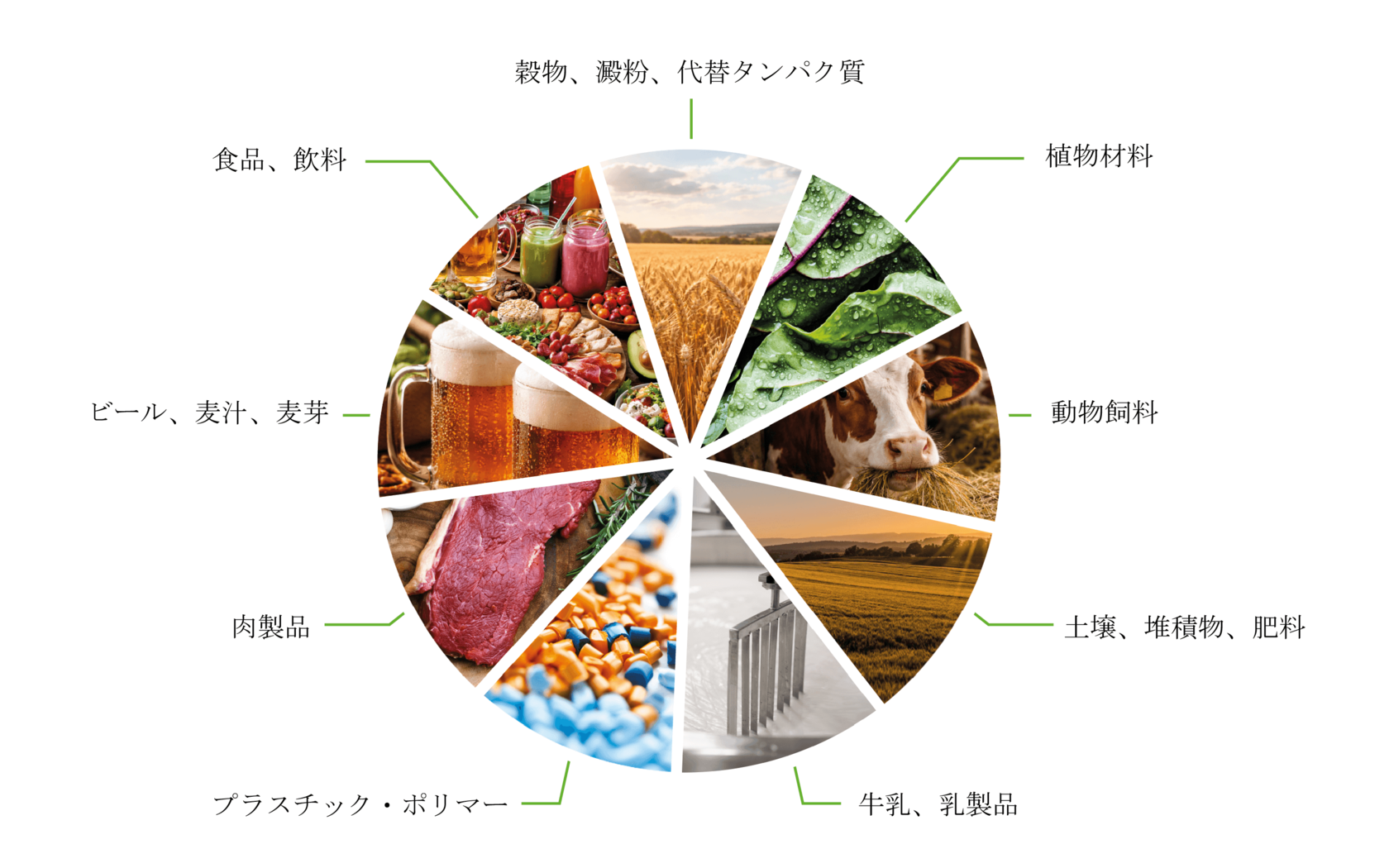 exceed PLUSシリーズで分析できる代表的なサンプルの種類