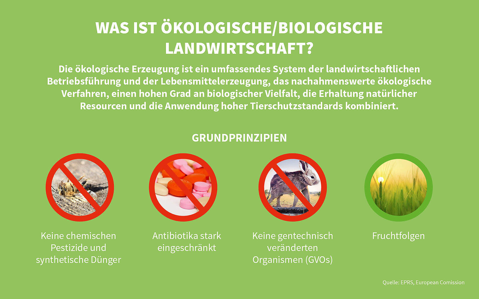 Grüne Infografik über biologische Landwirtschaft