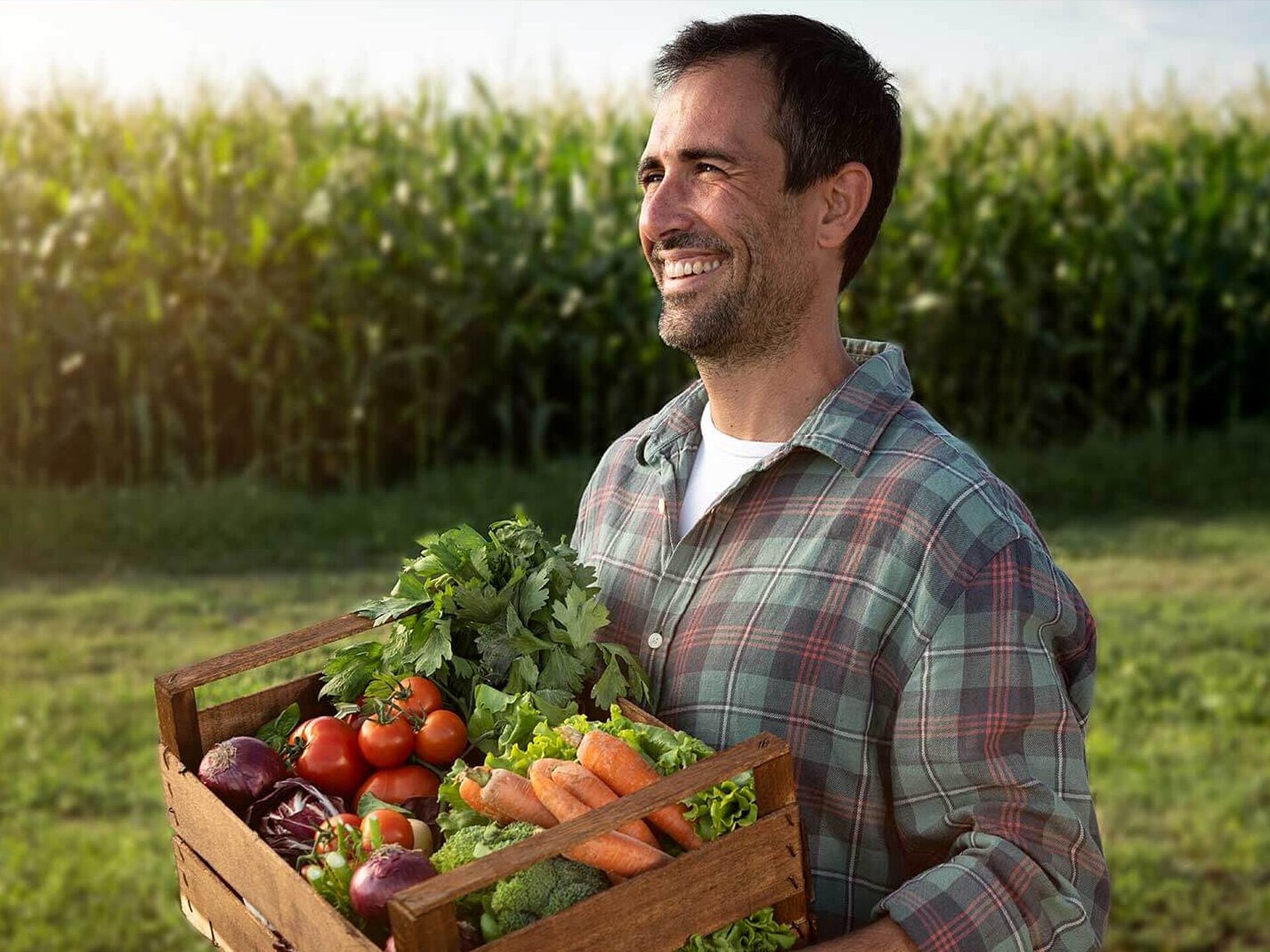 Farmer with organic vegetables in the field