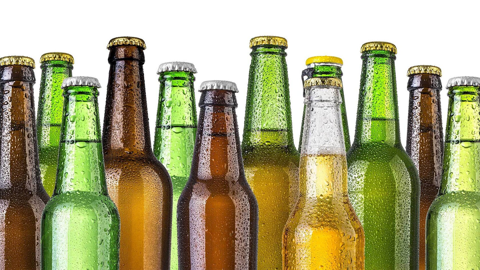 Nitrogen analysis in beer with the rapid MAX N exceed Elementar