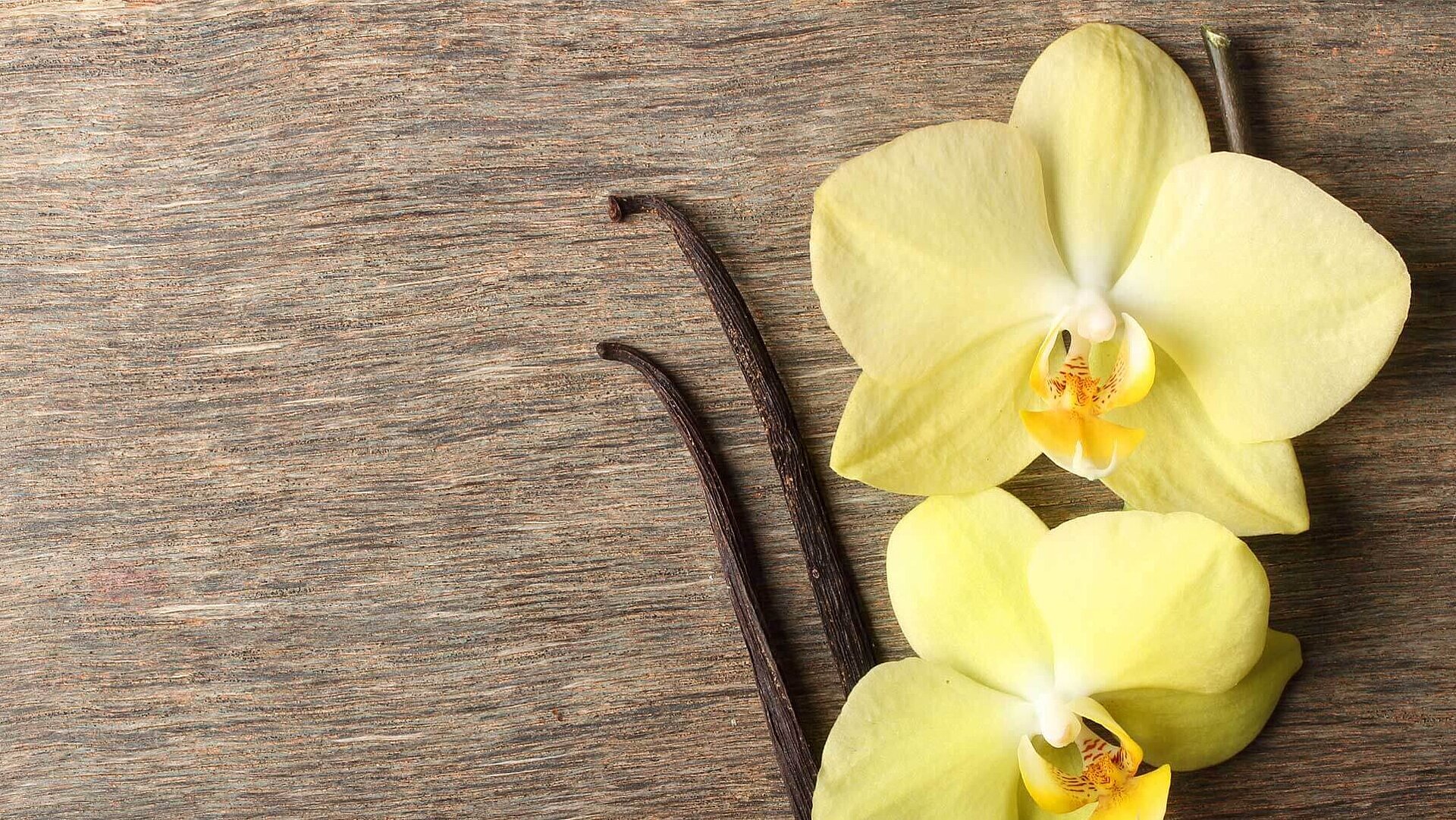 Vanilla