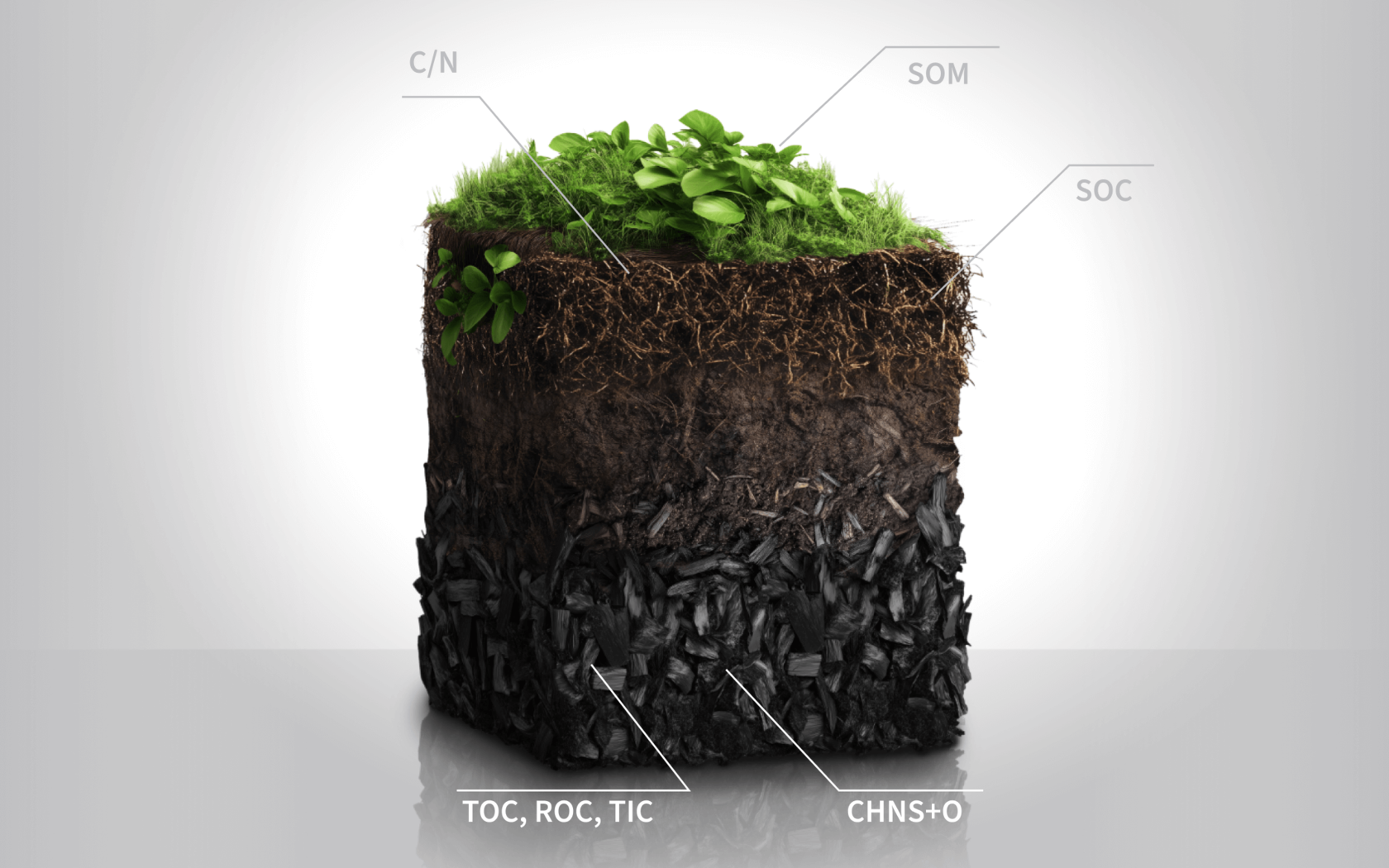 Infographic: A soil profile with biochar layer
