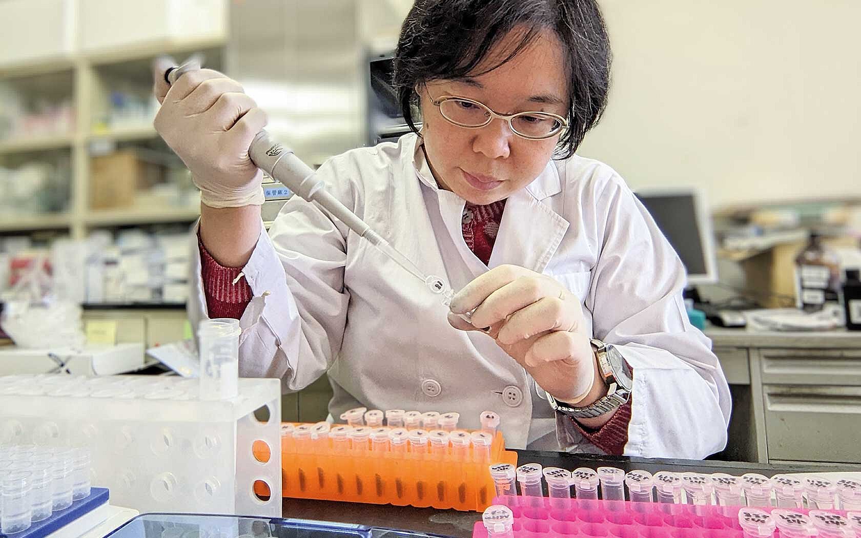 Dr. Yaeko Suzuki pipetting samples