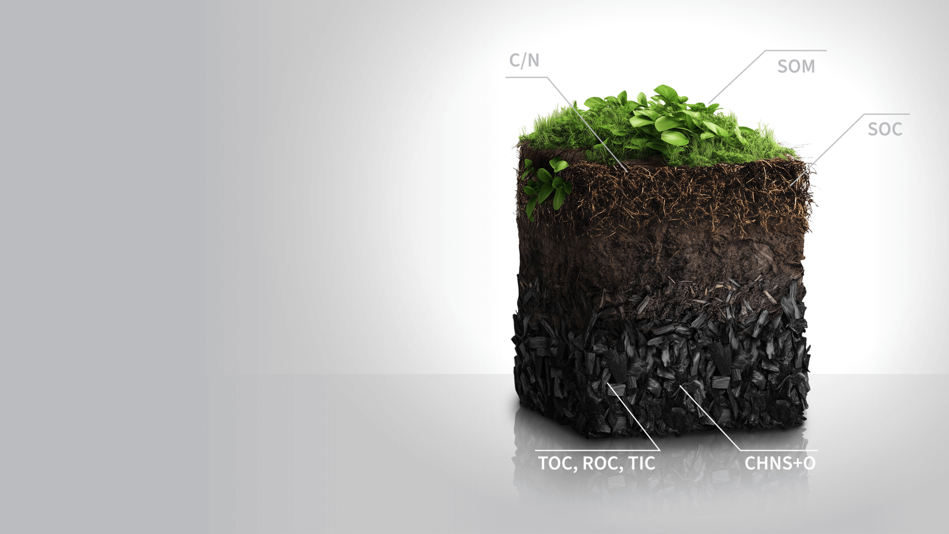 A soil profile with biochar layer