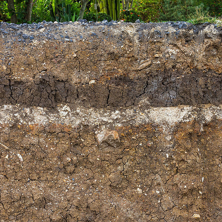 Soil profile