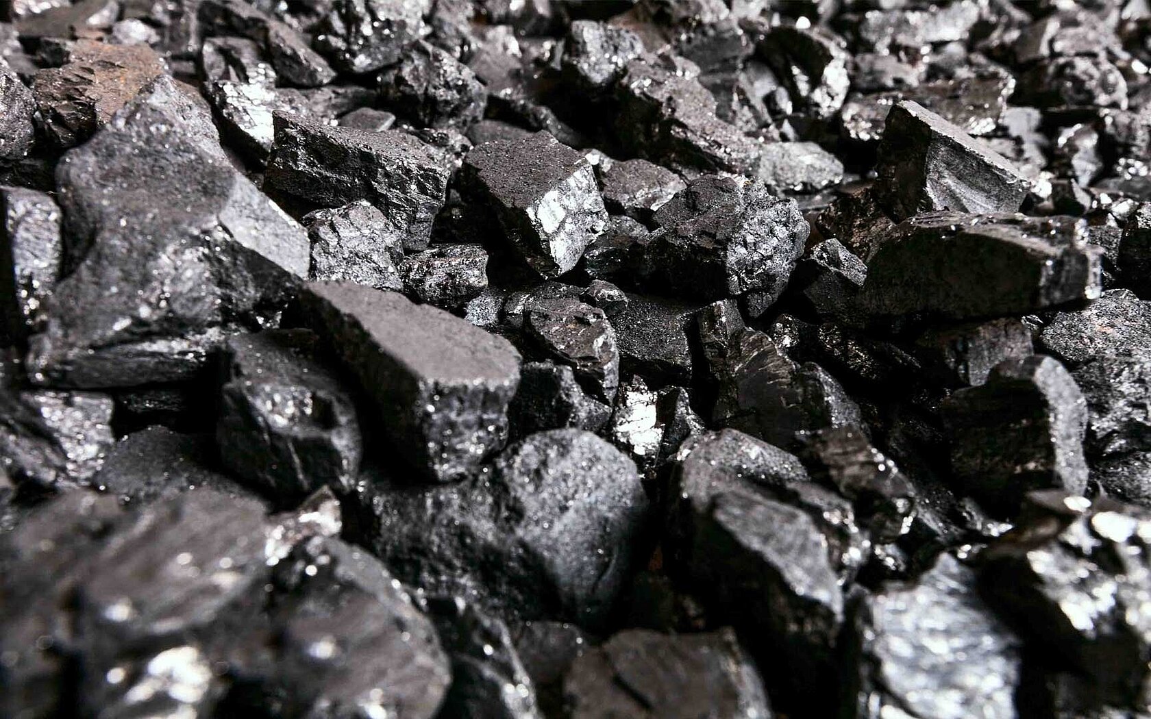 Coal