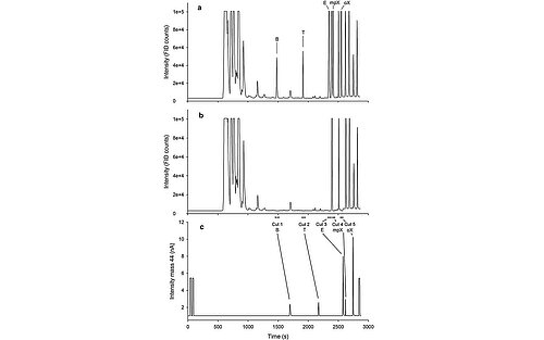 Irms Analysis 2D GC-GC5-IRMS analysis in environmental science - Elementar