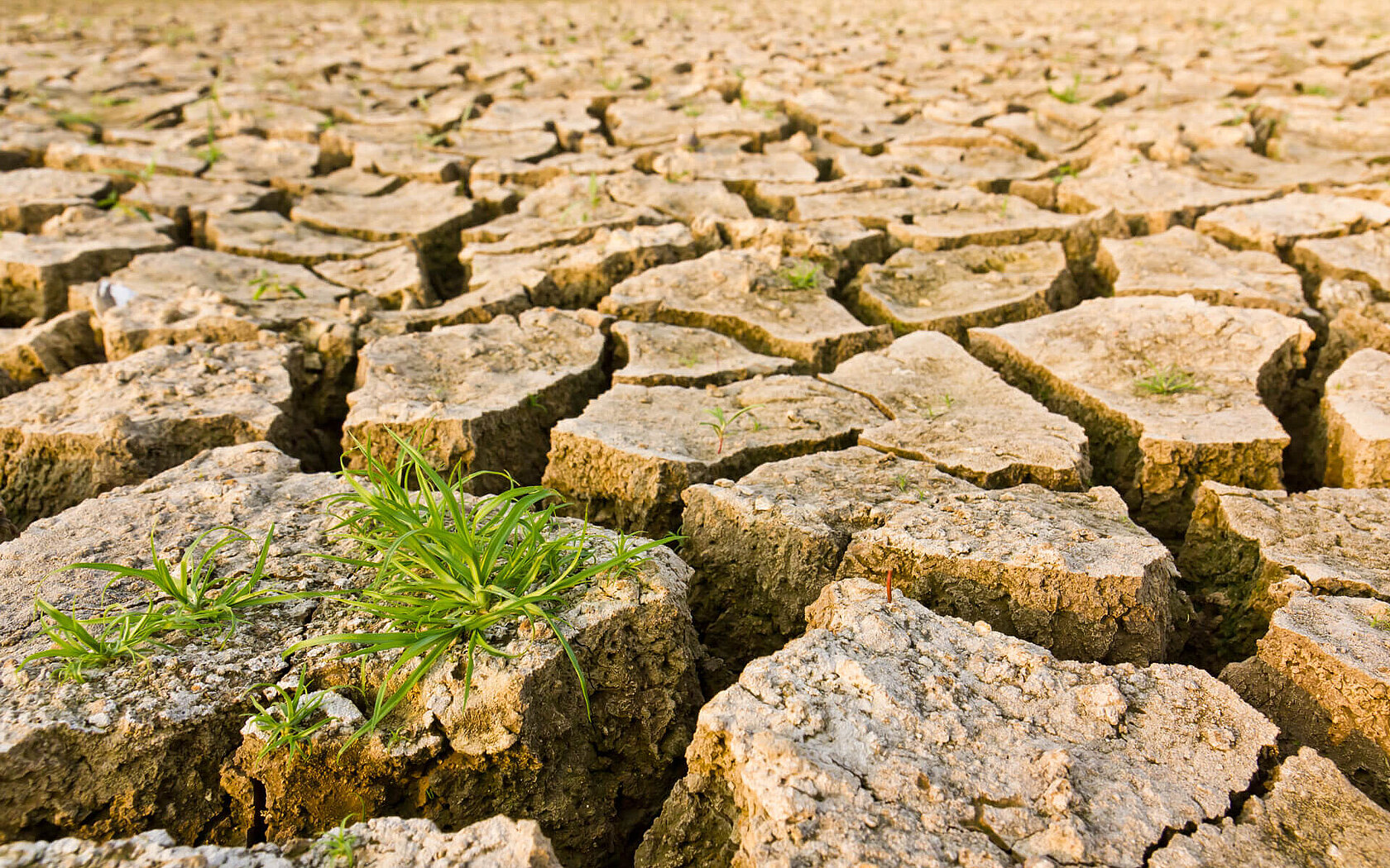 Klimaforschung Boden