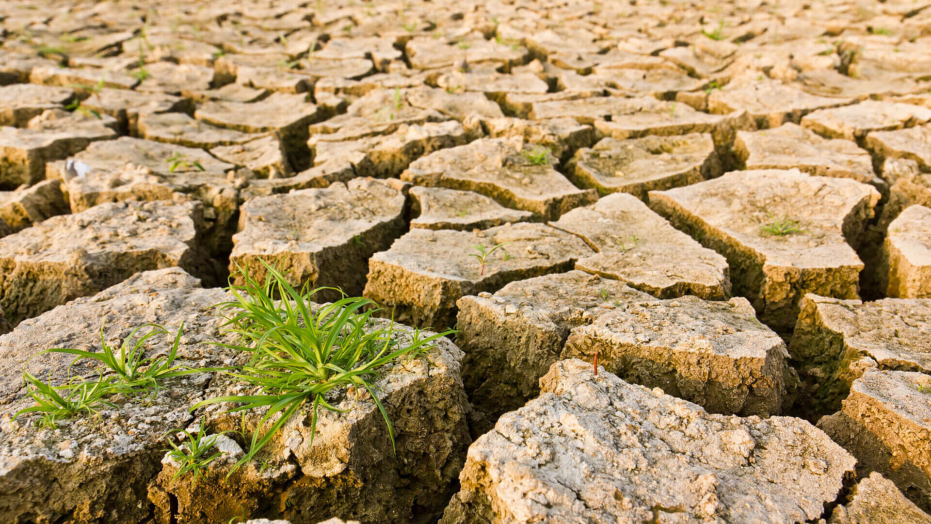 Sol de recherche climatique