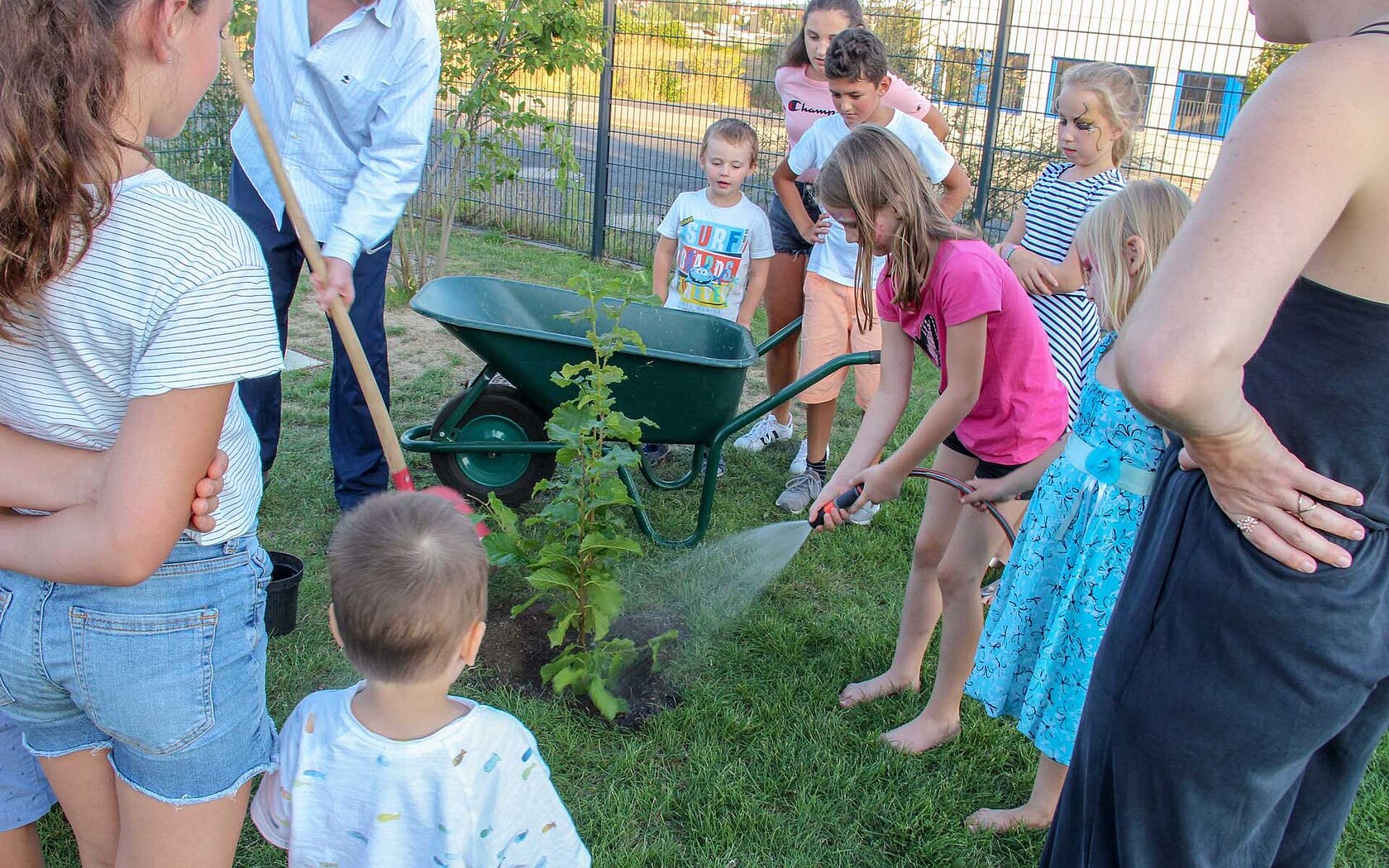 Children plant a hazel seedling