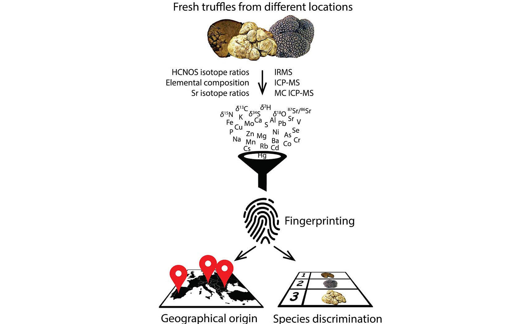 Using elemental and stable isotope composition to characterize Slovenian truffles
