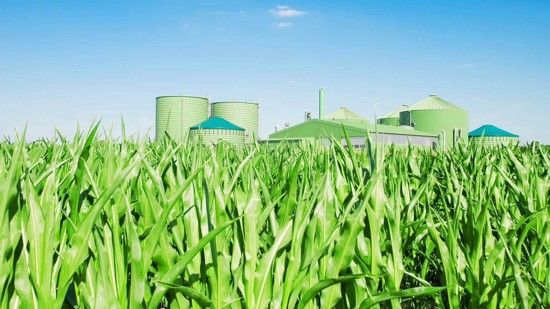 Elemental analyzers for solid fuel analysis - Elementar