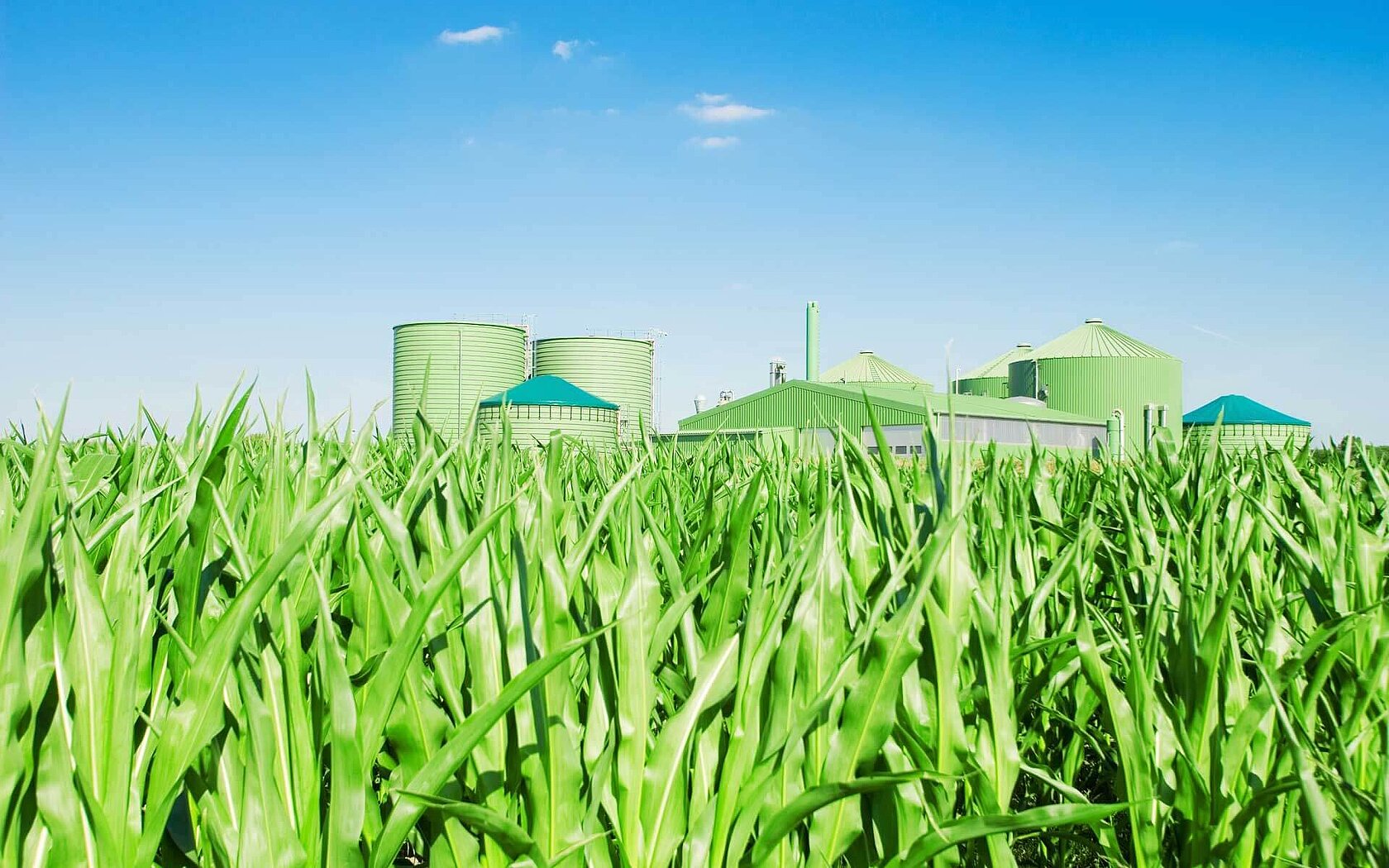 Biomass plant