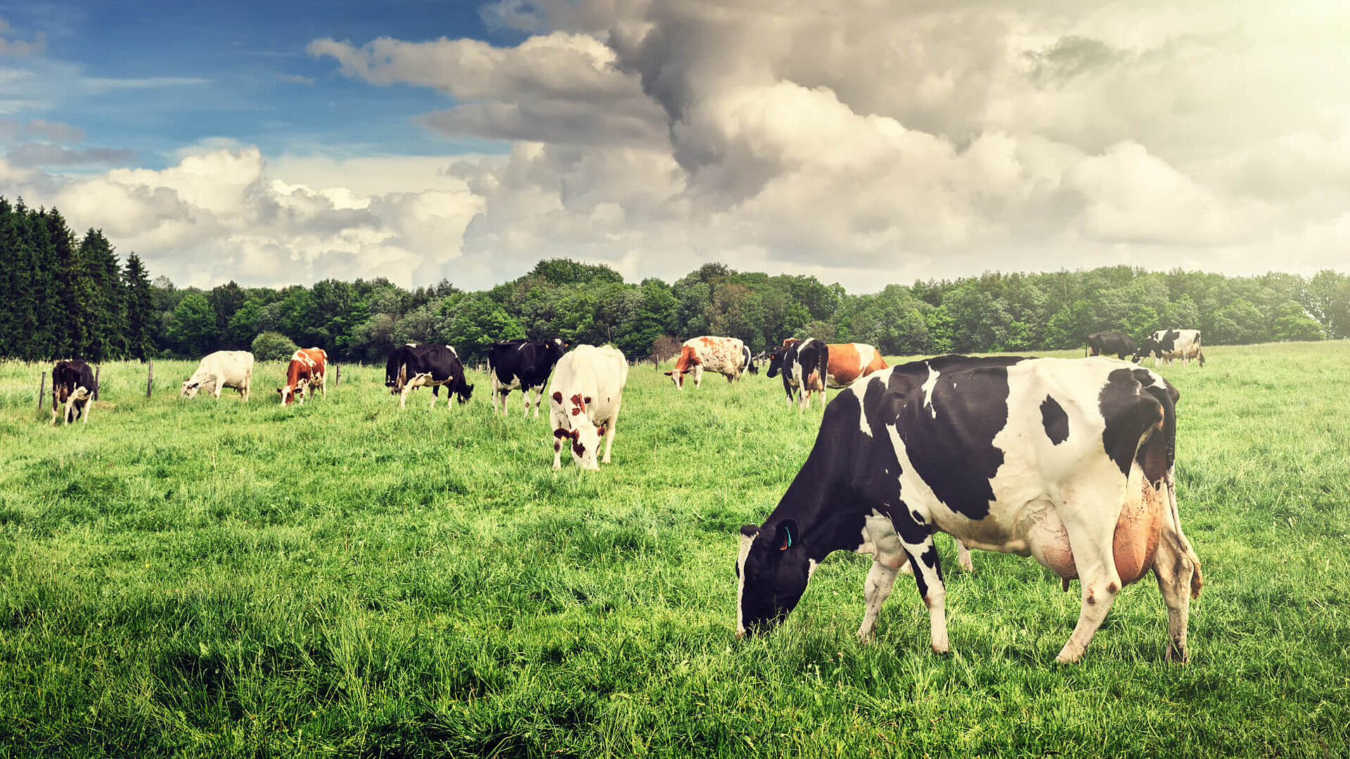 Klimaforschung GHG