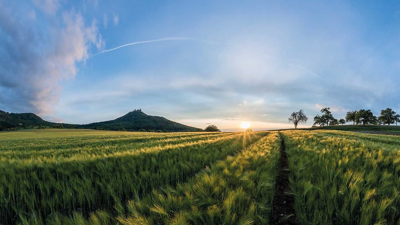 Understanding how soil works - Elementar