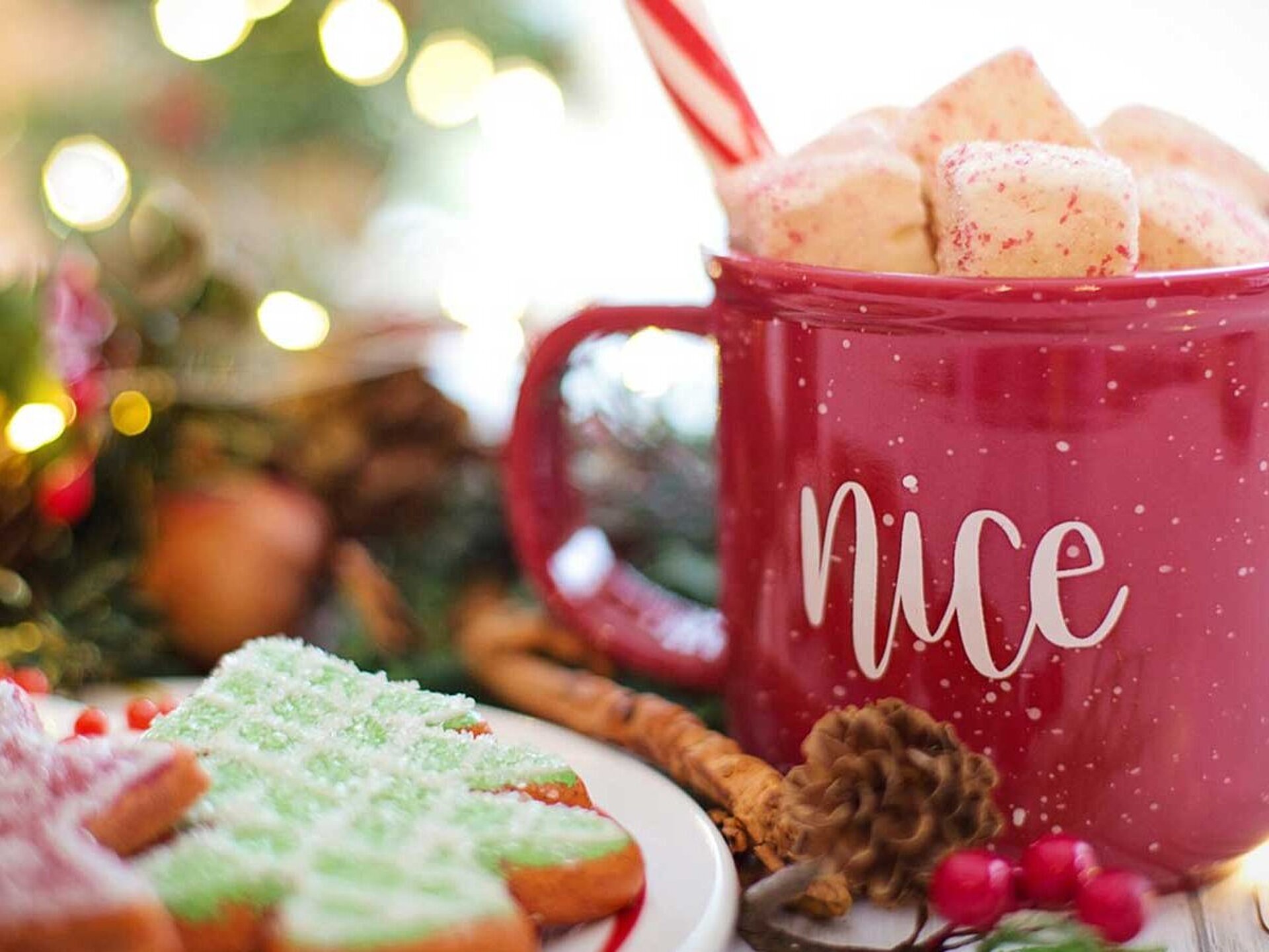 Christmas decoration, cookies and hot chocolate
