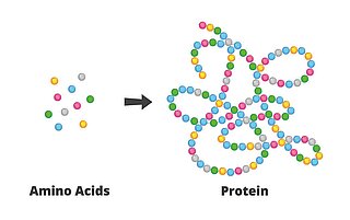 Protein Element Chemistry news: Rewiew of 2024 - Elementar