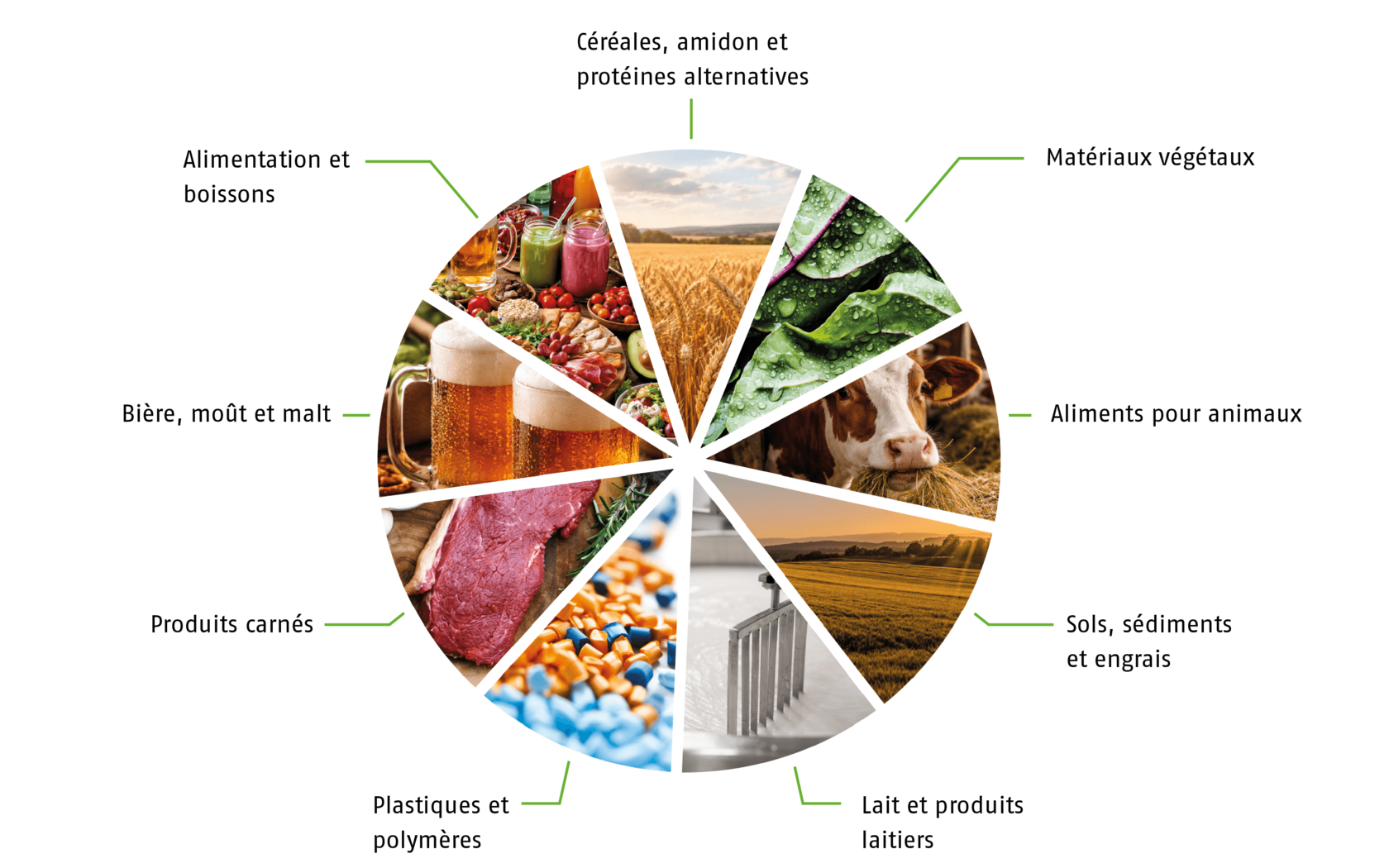 Types d'échantillons typiques pouvant être analysés avec les analyseurs de la série exceed PLUS