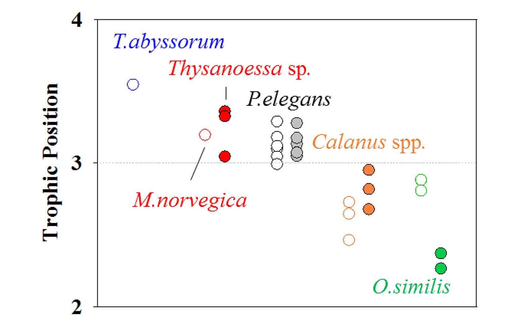 Trophic position values of zooplankton species