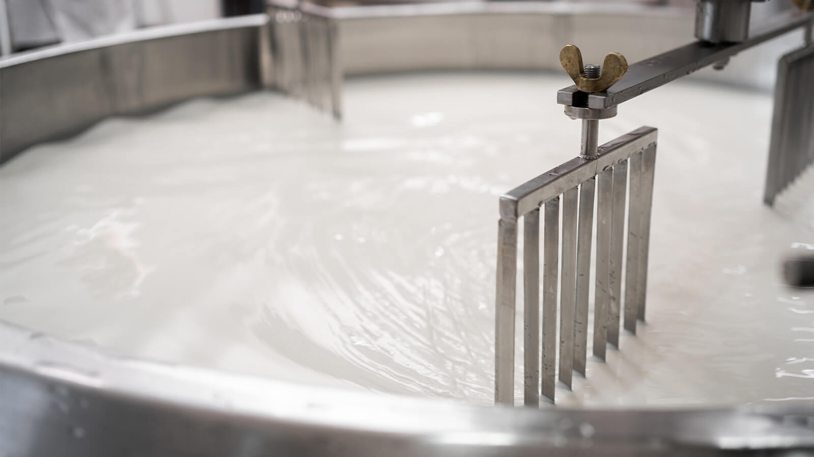 Milk tank in a cheese factory