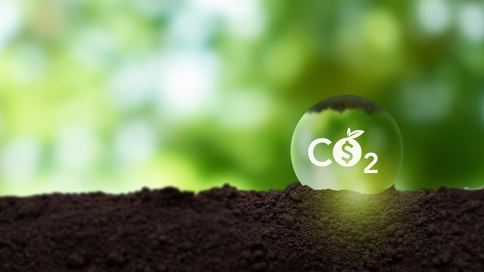 Carbon credits from soil carbon storage