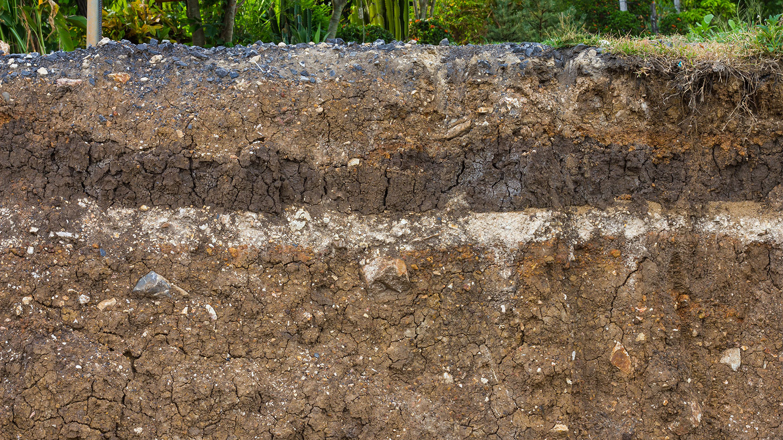 Soil profile
